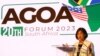 US Trade Envoy Tai Talks Trade Policy in Africa as Summit Ends