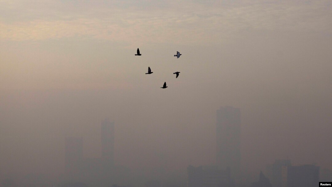 FILE - Birds fly on a smoggy morning in Jakarta, Indonesia, May 27, 2022. 