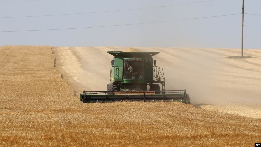 FILE - A farmer uses a combine harvester to harvest wheat on a field near Izmail, in Ukraine's Odesa region, June 14, 2022, amid Russia's invasion of its neighbor.