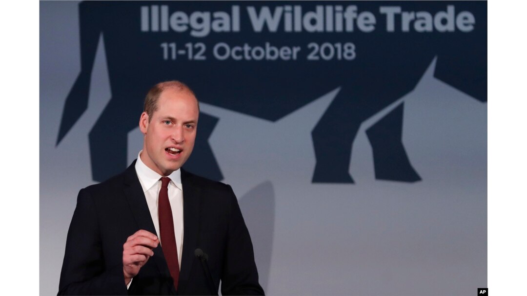 Britain's Prince William gestures as he makes speech at the Illegal Wildlife Trade Conference in London, Oct. 11, 2018.