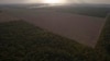 Brasil rechaza pacto de deforestación