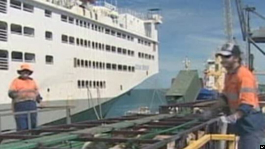 More than half of the live cattle Australia exports is destined for Indonesia
