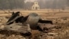 Paramount Ranch, where a number of Hollywood westerns have been filmed, is seen after it was decimated by a wildfire Friday, Nov. 9, 2018, in Augura Hills, Calif.
