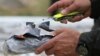 US Charges 17 Members of Colombia Gang with Drug Trafficking