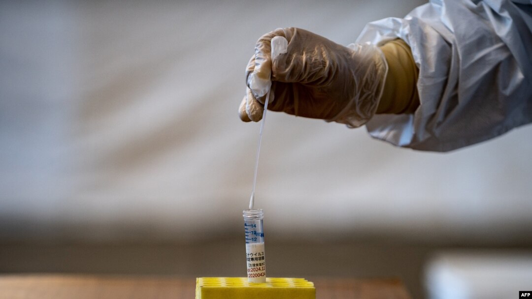 FILE - A lab technician wearing protective gear puts a swab into a container during a demonstration of a swab test for the COVID-19 virus, in Tokyo, Japan, May 8, 2020.
