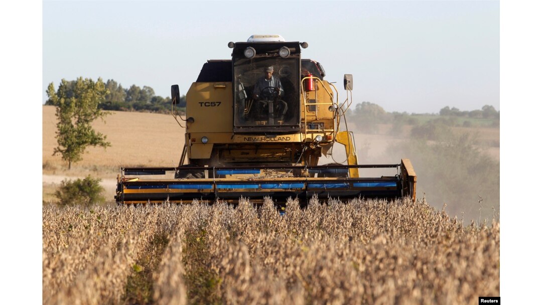 FILE - Soybeans are harvested on a farm on the outskirts of San Jose, Uruguay, April 27, 2011.