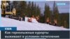 Нетающий снег 