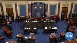  Republican-Led Senate Looms as Trump's Savior