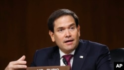 FILE - Sen. Marco Rubio, R-Fla., speaks during a Senate Intelligence Committee on Capitol Hill in Washington, May 5, 2020, 