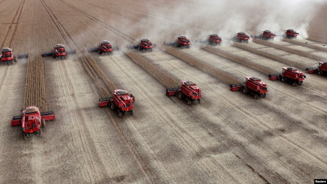FILE - Workers harvest soybeans in a farm in the city of Tangara da Serra, Brazil, March 27, 2012. 
