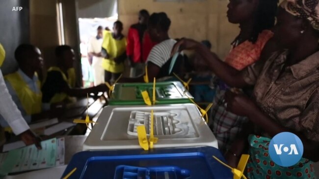 Mozambique's 2019: Cyclones, Insurgency, Peace Deal, Pope, Contested Election