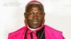 Núncio Apostolico em Angola, Novatus Rugambwa