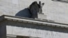 A Fed Interest Rate Cut Is in the Bag. What Then?