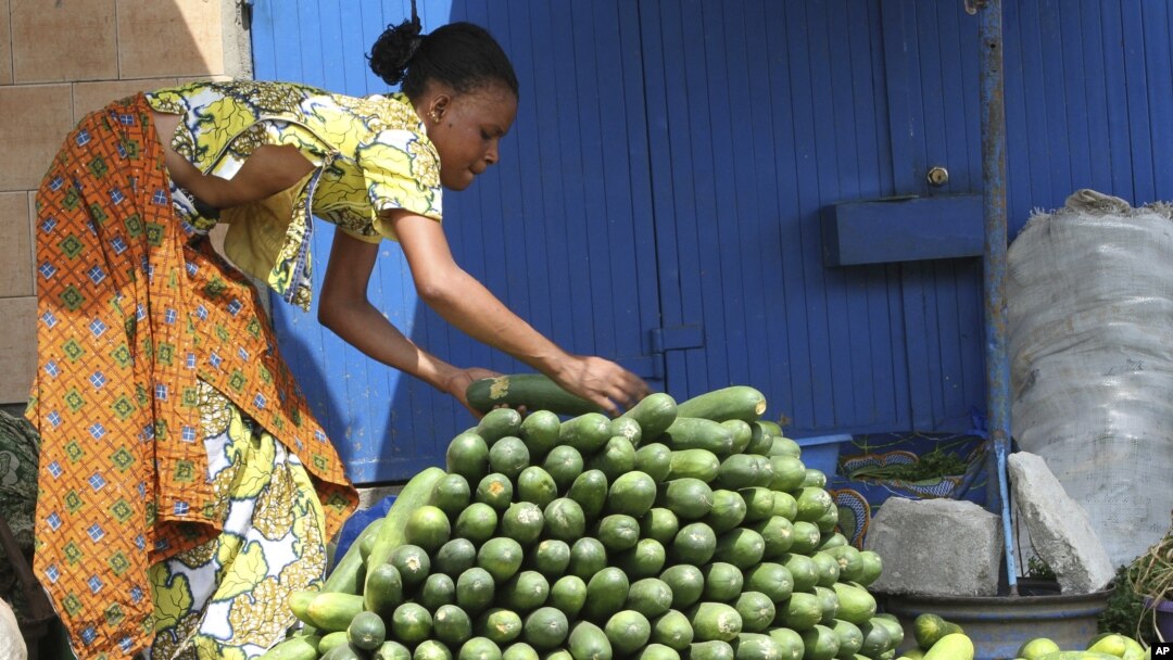 A vendor arranges cucumbers at a market in Abidjan (file photo)