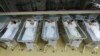 四川省取消未婚生育限制，中国网友评论：乱了套了