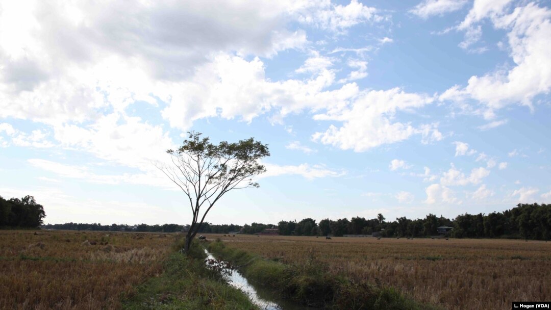 Nearly one-third of Myanmar’s land is considered by the government to be vacant, fallow or virgin land, amounting to more than 45 million acres.