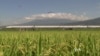 Rail Rivals China, Japan Compete for High-Speed Track in Asia