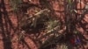 16x9 Image