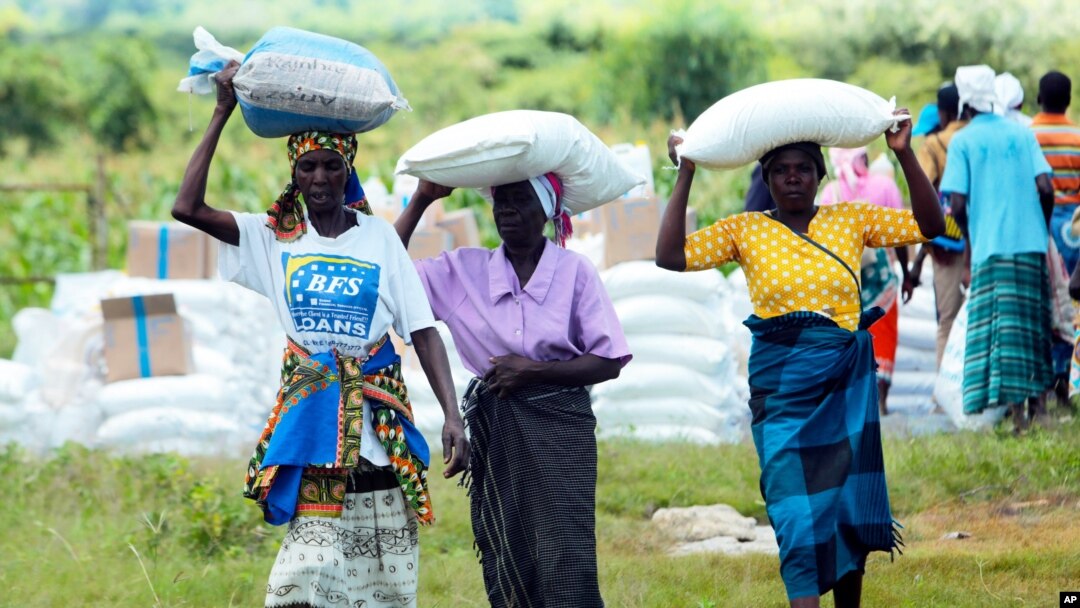 FILE - Women carry bags of maize during a food aid distribution in Mudzi about 230 kilometers northeast of the capital Harare, Zimbabwe, Feb. 20, 2020.