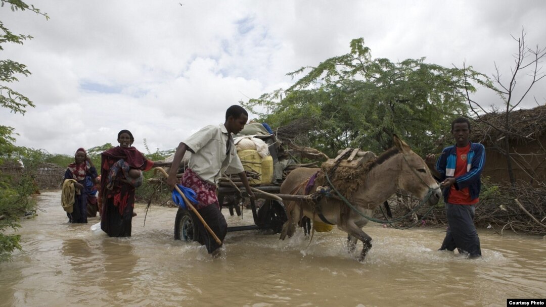 Somali refugees flee flooding in Dadaab, Kenya, an area prone to both drought and flooding from a changing climate. (UNHCR, B. Bannon)
