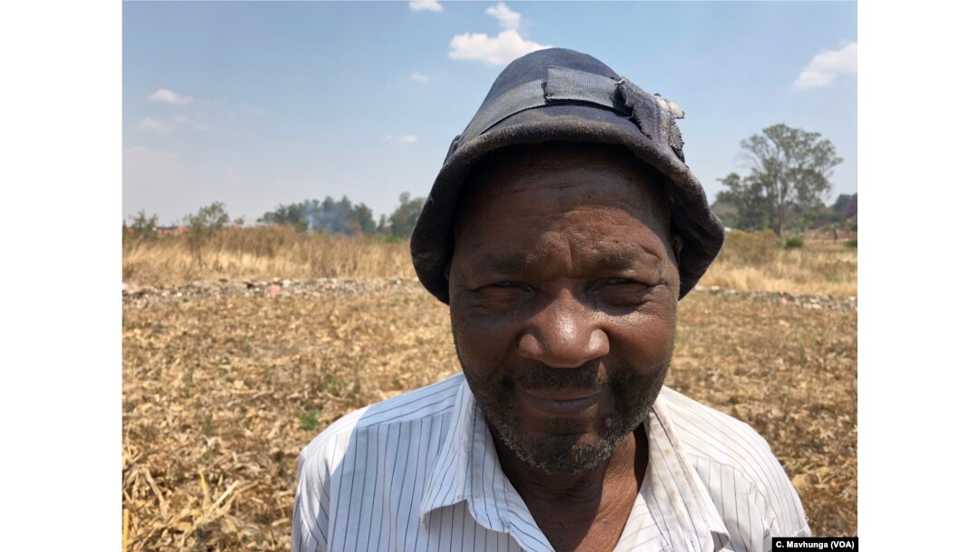Leo Yuma, a maize farmer in Harare, says he depends on his crop for survival, Sept. 5, 2018.