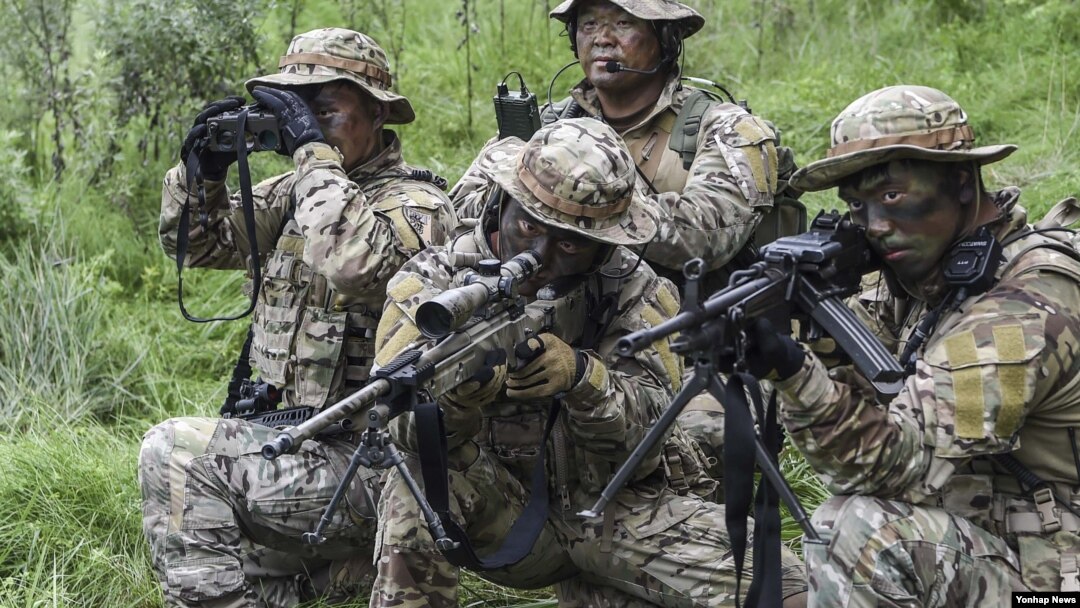 한국 해군 1함대 3특전대대(UDT/SEAL) 특수부대원들이 24일 을지프리덤가디언(UFG) 연습의 하나로 강원 동해시와 양양군 일원에서 적진에 침투해 적 미사일 이동 발사 차량을 탐지해 추적, 격멸하는 특수훈련을 하고 있다. 