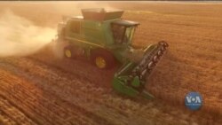 Ринок землі в Україні - крок до Європи чи до хаосу? Як оцінюють реформу у Світовому банку та що кажуть експерти. Відео