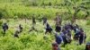 Report: Coca Production in Colombia Jumped 39 Percent in 2014