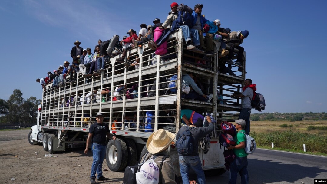 U.S.-bound migrants from Central America travel inside a chicken truck as they head for Irapuato, Mexico, Nov. 11, 2018. 