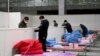 China Virus Toll Nears 500; Cases Found on Cruise Ship 